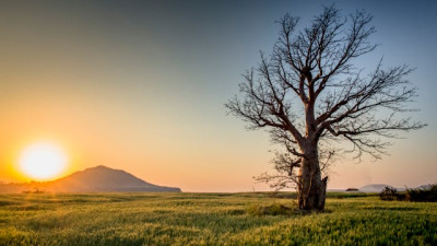 Madhya Pradesh