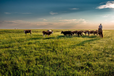 Mongolia