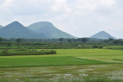 Odisha