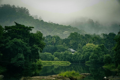 Thekkady