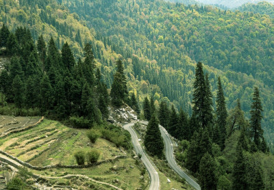 Uttarakhand
