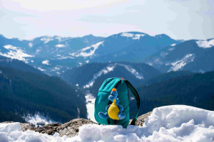 Heavenly Manali-Kullu  -3 Nights & 4 Days