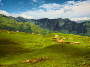 Summer In Kashmir - 6 Days &  5 Nights