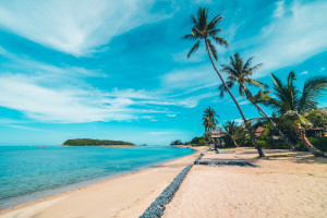 Blaze Andaman - 4 Days & 3 Nights
