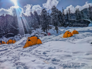 Explore Kuari Pass Trek - 6 Days &  5 Nights