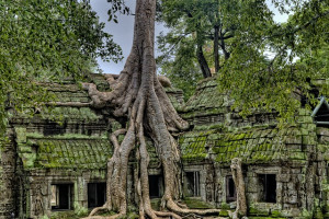 Siem Reap Angkor Temple Tours - 3 Days & 2 Nights