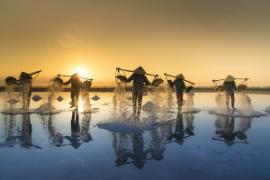 Vietnam - Hanoi - Ha Long Day Trip - 3 Days & 2 Nights