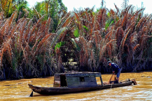 Vietnam - Ho Chi Minh City Tour – Cu Chi – Mekong Delta - 4 Days & 3 Nights