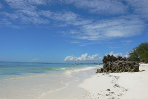 The ultimate Kenya Classic Safari & Beach Experience