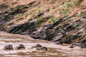 A glimpse of Kenya including Lake Naivasha