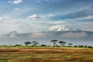 Thrilling 8 Days Tanzania Classic safari  Experience