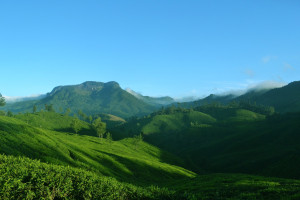 Memorable Kerala Hill Station &amp; Backwater
