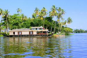 Best Of Kerala With Houseboat Experience