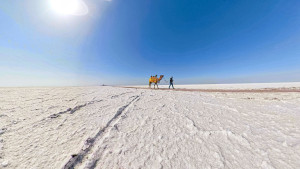 Incredible Gujarat - Zero Meters From White Desert
