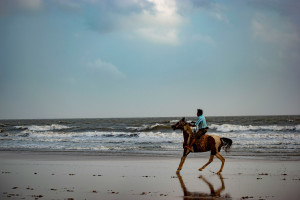 Spectacular Gujarat-Kutch