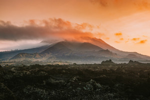 Best Of Bali