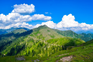 Memorable  Kashmir