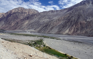 Valley of Flowers-Ladakh