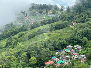 Magical North East -Gangtok, Darjeeling & Kalimpong