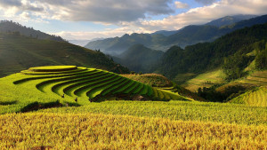 Classic Vietnam