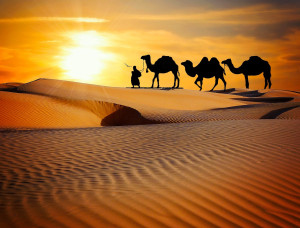 Memorable Rajasthan - 4 Nights & 5 Days