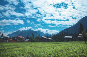 Kashmir Bliss - 6 Days & 5 Nights