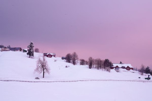 Romantic Kashmir - 5 Nights & 6 Days