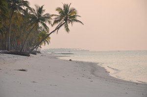 A Wooden Hut Retreat in Bangaram - Serene Lakshadweep - 2 Nights & 3 Days
