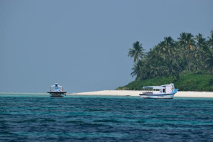 Premium Wooden Hut Stay in Bangaram - Lakshadweep - 3 Nights & 4 Days