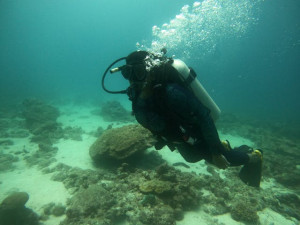 Bangaram Hut Retreat- Lakshadweep- 4 Nights & 5 Days