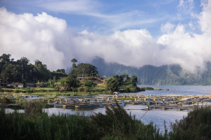 Vacation in Bali -  4 Nights & 5 Days