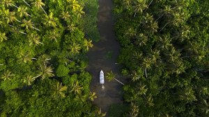 Mesmerizing Kerala Backwaters: Alleppey & Kumarakom - 2 Nights & 3 Days