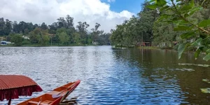 Kodaikanal Tour Package 2 Nights 3 Days